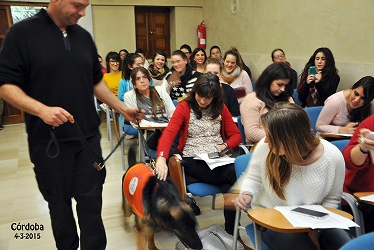 Curso Técnico de Terapias Asistidas con perros