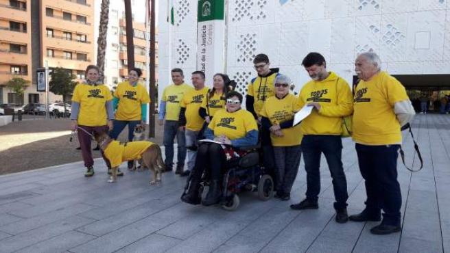 Informan a la Fiscalía de supuestas irregularidades en el Consejo Local de Discapacidad
